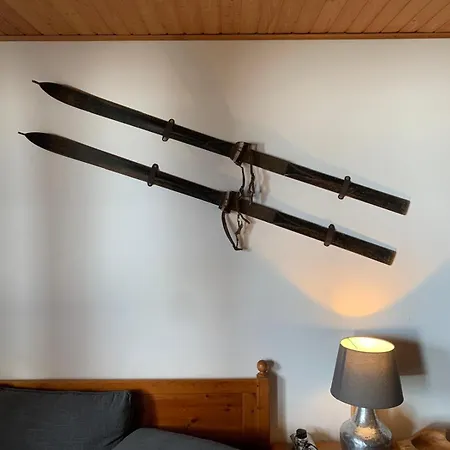 Cozy Alpe Lejlighed