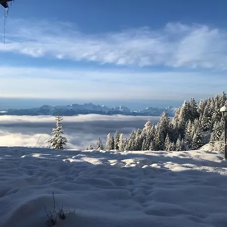 Cozy Alpe Treffen